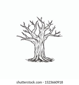 Tree Branch Hand Drawing Illustration