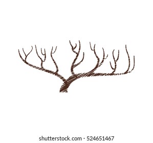 tree branch hand drawing isolated icon vector illustration design