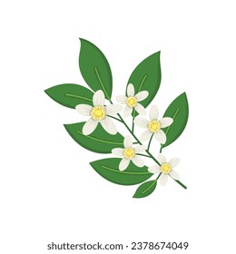 Tree branch icon vector illustration. Lemon blossom on isolated background. Lemon flower sign concept.