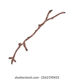 Tree Branch Illustration - 05