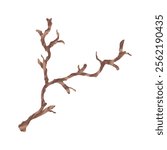 Tree Branch Illustration - 06