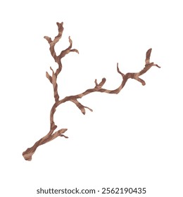 Tree Branch Illustration - 06