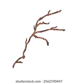 Tree Branch Illustration - 08
