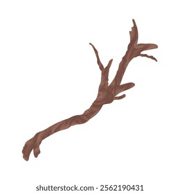 Tree Branch Illustration - 12