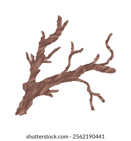 Tree Branch Illustration - 14