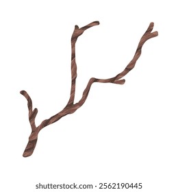 Tree Branch Illustration - 16