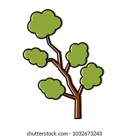 Tree branch isolated
