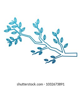 Tree branch isolated