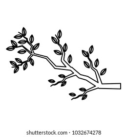 Tree branch isolated