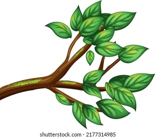 Tree branch isolated on white background illustration
