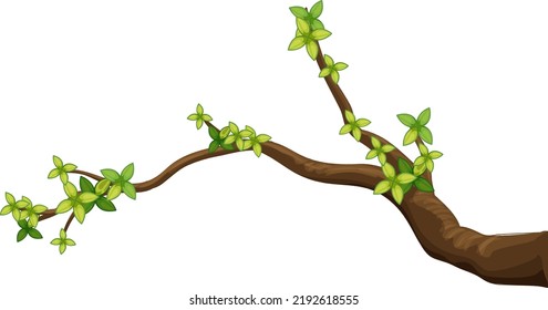 Tree branch isolated on white background illustration