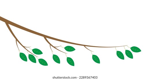 Tree branch isolated on white background. Illustration of a branch with leaves.