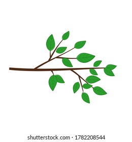 Tree branch with leaf isolated on white background vector. Flat design.