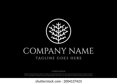 Tree Branch Leaf Leaves Nature Garden Park Logo Design Vector
