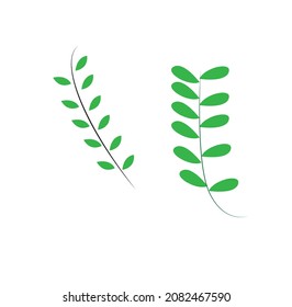 Tree branch or leaf or nature vector image 