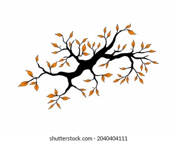 Rama de árbol con hoja sobre fondo blanco, otoño