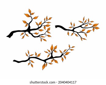 Tree branch with leaf on white background, autumn