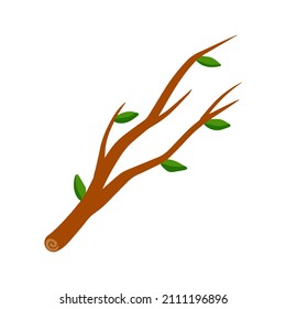 Tree branch with leaf on white background illustration.