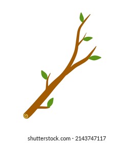 Tree branch with leaf on white background illustration. Plant Element of wood and nature. Flat simple illustration