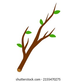 Tree branch with leaf on white background illustration. Flat simple illustration. Plant Element of wood and nature