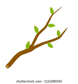 Rama de árbol con hoja en la ilustración de fondo blanco. Elemento vegetal de madera y naturaleza. Ilustración simple plana