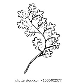 tree branch with leafs