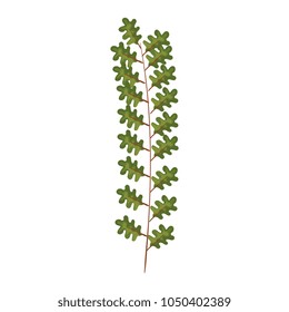 tree branch with leafs