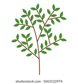 tree branch with leafs