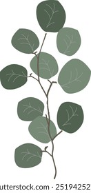 Rama de árbol con hojas, hojas de eucalipto