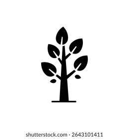 Tree Branch with Leaves in Fall for Autumn or Seasonal Nature Scene