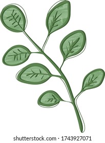 Rama de árbol con hojas de textura verde imagen vectorial