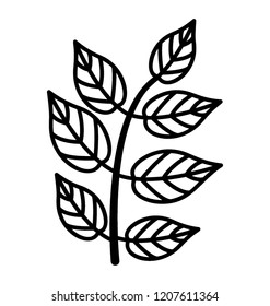 Tree branch with tree leaves icon vector 
