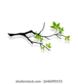Tree branch with leaves. Tree branch image on a white background. Vector illustration.
