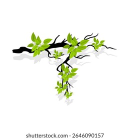 Tree branch with leaves. Tree branch image on a white background. Vector illustration.