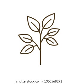 tree branch with leaves isolated icon
