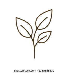 tree branch with leaves isolated icon