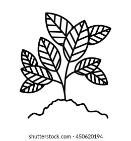 tree branch with leaves isolated icon design