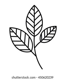 tree branch with leaves isolated icon design