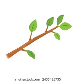 Tree branch with leaves isolated on white background. Vector illustration