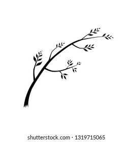 Tree Branch With Leaves on White Background