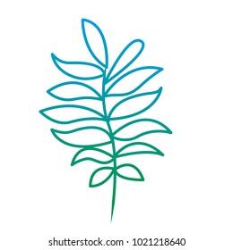 tree branch with leaves plant natural