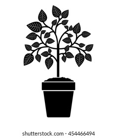 tree branch with leaves in pot isolated icon design, vector illustration  graphic 