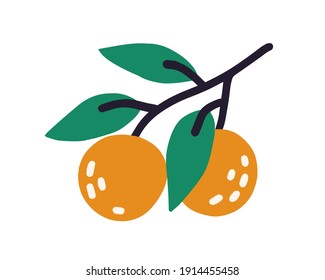 Tree branch with leaves and ripe orange fruits of peaches or mandarines. Colored flat vector illustration isolated on white background