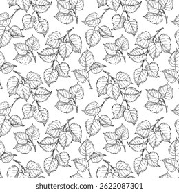 Tree branch with leaves seamless pattern hand drawn with ink.. Vector black and white template .Hazelnut leaves ornament.