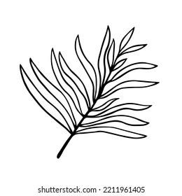 Tree branch with leaves vector icon. Hand drawn stem with foliage. Botanical sketch, outline. Sprig of forest shrub, garden plant, field herb. Illustration isolated on white. Clipart for cards, prints