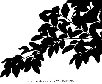 Rama de árbol con silueta vectorial de hojas, espacio de copia, aislado en fondo blanco, vista frontal, relleno con color negro lleno de rama de hojas, idea de sombra, concepto de naturaleza