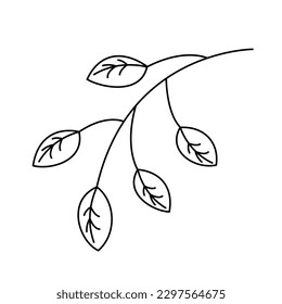 Tree branch with leaves vector in simple cartoon doodle style. Nature clipart. Spring, summer seasonal plant isolated design element. Forest, woods, garden illustration. Simple contour drawing.