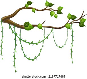 Tree branch with liana isolated illustration