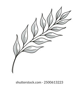 Tree branch monochrome detailed sticker with petals of summer plant grown in natural park or forest vector illustration