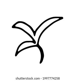 Tree branch with narrow leaves like willow or bush. Outline hand drawn sketch on white background. Minimalist doodle style. Isolated vector twig illustration, single element for natural floral design.